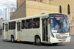 Uma nova linha metropolitana, a N61-C.GrandeSul/Guadalupe, entrará em operação para ligar a sede do município ao Terminal Guadalupe, em Curitiba